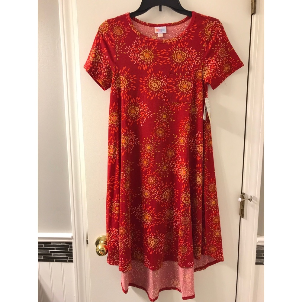 NWT Carly dress.